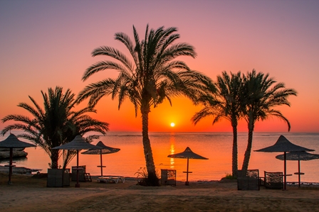 MARSA ALAM