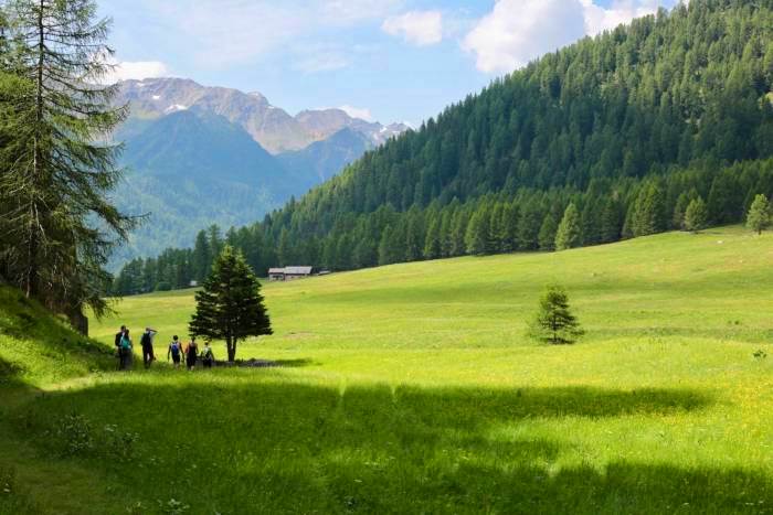 SETTIMANA VERDE A FOLGARIDA