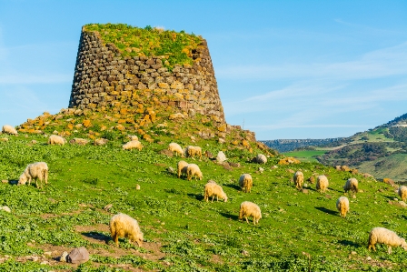 SOGGIORNO IN SARDEGNA