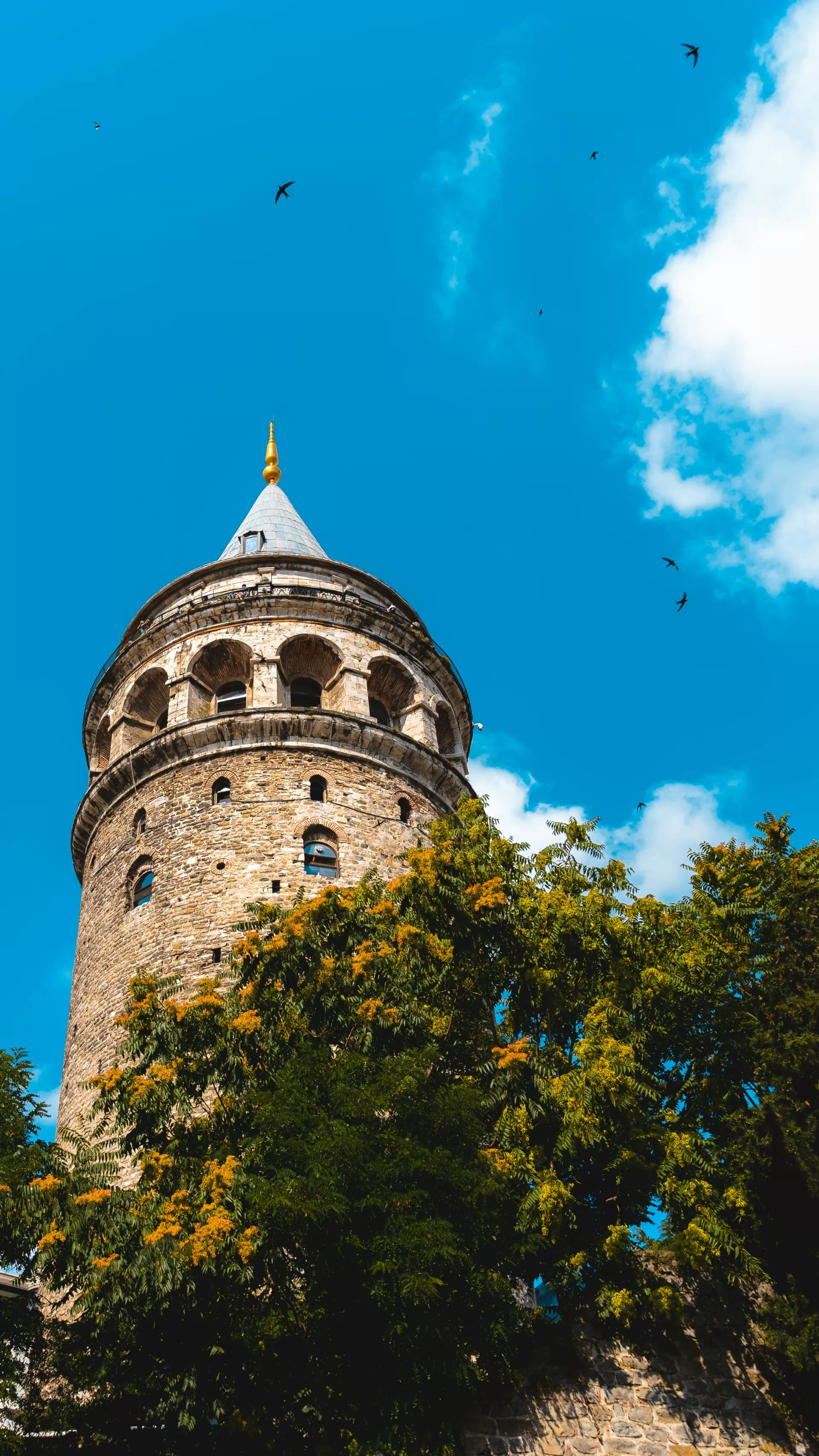 GRAN TOUR DELLA TURCHIA I