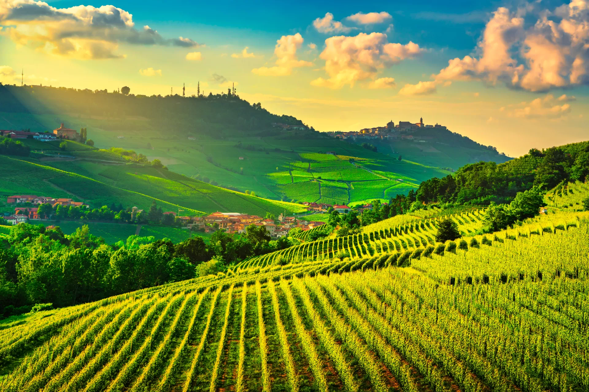 LE LANGHE E L'ENOGASTRONOMIA